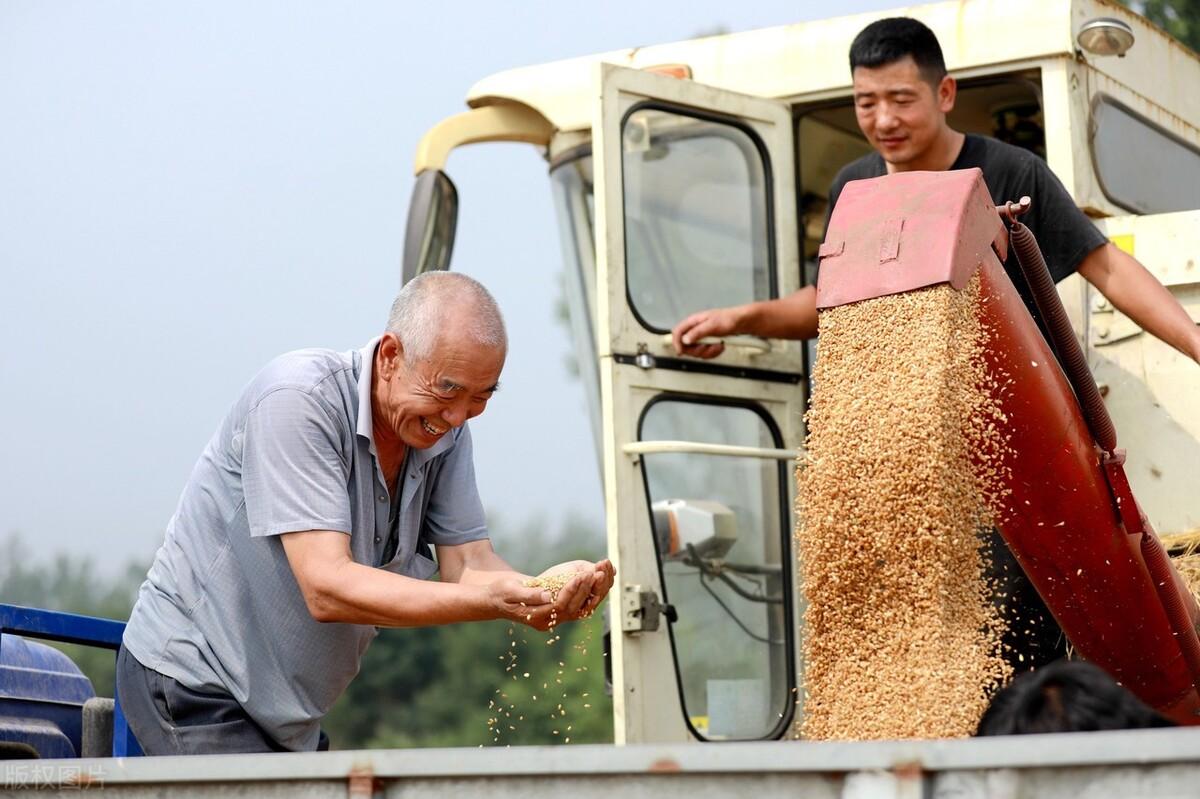 广东省储备粮总公司，保障粮食安全，推动地方经济发展