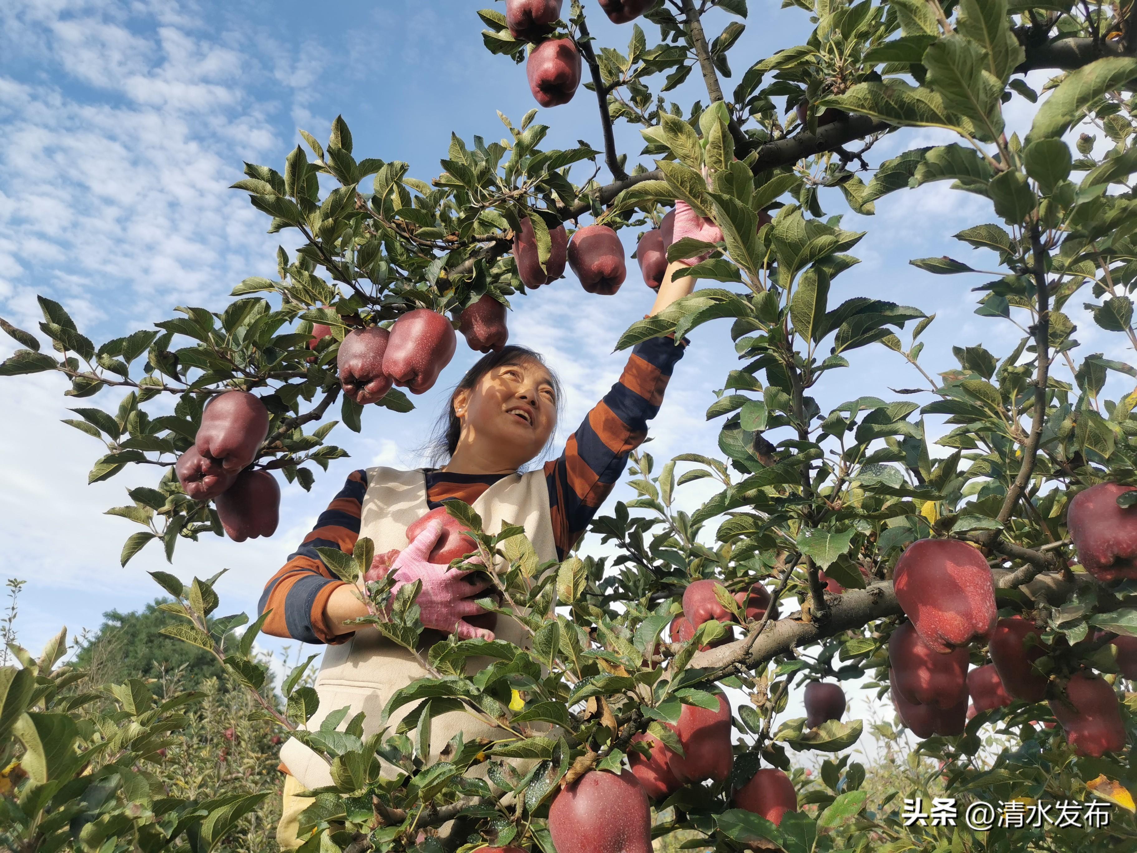 广东新农人有限公司，引领现代农业，铸就乡村新篇章